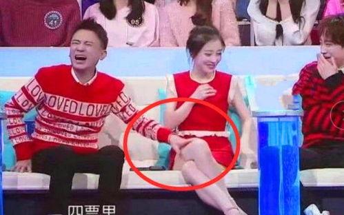 穿越娱乐圈综艺节目组吃瓜系统,揭秘综艺幕后那些事